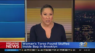 Woman s body found inside bag in Brooklyn