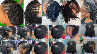 Extremely Stylish Unique Natural Twist Braids Hairstyles for African American Women Twist Braids