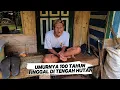 Download Lagu Kaget...Seorang kakek Tua Umurnya 100 Tahun Tinggal Di Hutan