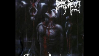 dying fetus streaks of blood