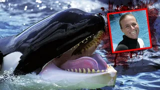 Download Orca Drowns And Kills SeaWorld Trainer (TRAGIC DEATH) MP3