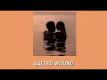 Download Lagu Sia - Salted Wound (Slowed)