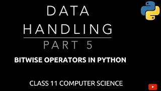 Bitwise Operators in Python Data Handling Class 11 CBSE Computer Science