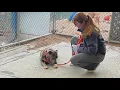Animal Protection Association of Missouri takes over County s pet adoption center