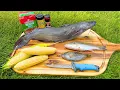 Download Lagu Eating Anything We Catch While Fishing (Epic Fish Fry)