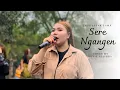 Download Lagu PENUH PENGHAYATAN LAGU SASAK !!! SERE NGANGEN NOVI ALISHBA BIKIN Candu DISYA MUSIk