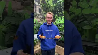 Планета метеликів на ВДНГ чудова ідея для прогулянки у Києві КИЇВ 