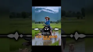 buah hati dikebas orang nd lala cover version