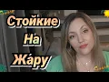 Download Lagu Эти Ароматы Выдержат Любую Жарку/ Супер Шлейф На Лето 🔥🌞