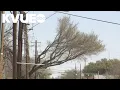 Austin Energy reports power outages due to high winds