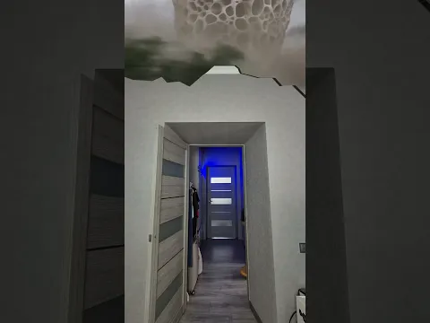 Save the CAT if you see this TORNADO!