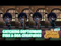 Catching the New September Fish Sea Creatures - Animal Crossing New Horizons Northern Hemisphere
