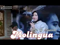 Download Lagu KALIPSO MOLINGUA-Lagu Daerah Kaledupa Wakatobi Sultra @scorpionmusikwakatobi7301