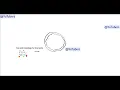 How to draw walnuts