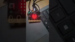 microbit beating heart
