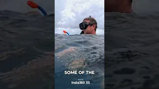 This Is Why 360° Cameras Work So Well Underwater