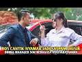 Lagu NYAMAR JADI SATPAM WANITA INI DIUSIR \u0026 DIHINA OLEH MANAGER YANG SOK BERKUASA KARENA JABATANNYA !!