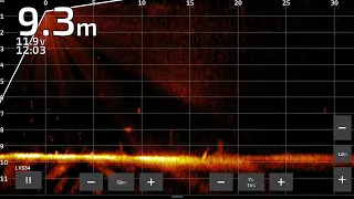 Real-Time Zander Tracking with Garmin Panoptix Livescope LVS34