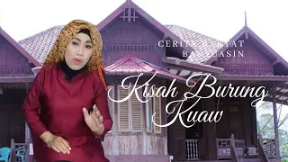 kisah burung kuaw