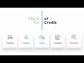 What are the 5 Cs of Credit