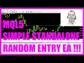 MQL5 TUTORIAL - A SIMPLE STANDALONE RANDOM ENTRY EA