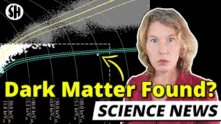 Dark Matter Finally Detected?