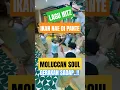 Download Lagu IKAN NAE DI PANTE My Homie Moluccan Soul #dancevideo #dancevibes #dance #dancer #dancelife