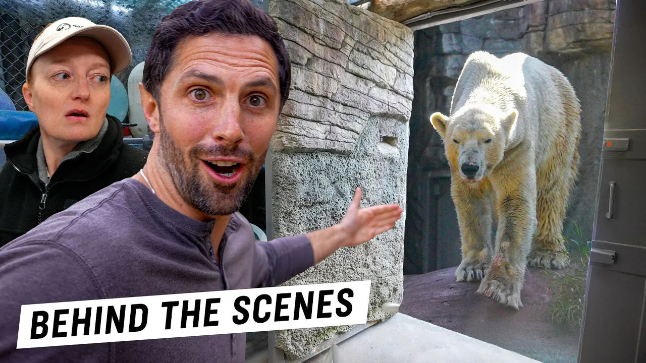 Day in the Life at the World’s Best Zoo