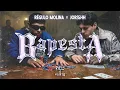 Regulo Molina Jorsshh - Bapesta visualizer