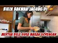 Download Lagu MERTUA BULE SAMPAI KETAGIHAN DIBUATKAN BAKWAN JAGUNG PAKAI BAHAN SEADANYA DI SPANYOL