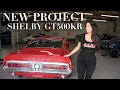 CONSTANCE NUNES SHELBY GT500KR PROJECT