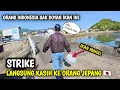 Download Lagu ORANG INDONESIA GAK DOYAN IKAN INI || STRIKE AUTO TAK KASIH KE ORANG JEPANG || MANCING DI JEPANG
