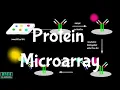 Protein Microarray Protein Arrays Protein Biochips
