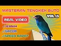 Download Lagu Masteran Burung Tengkek Buto Gacor Suara Jernih Speed Rapat Vol.15