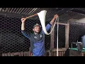 Download Lagu LIVE AO VIVO FAZENDO QUEIJO NA FAZENDA XODO