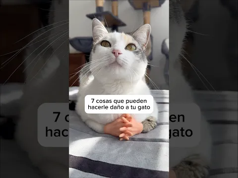 ¿Se las sabían todas?