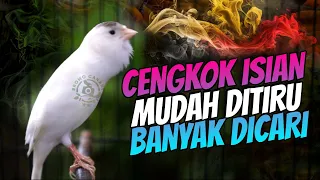 Download CENGKOK ISIAN BANYAK DICARI!! MASTERAN KENARI GACOR ISIAN CIBLEK MUDAH DITIRU MP3