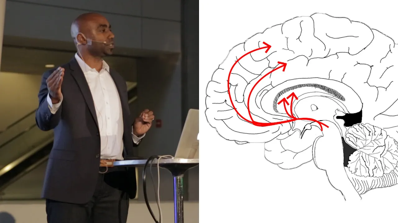 Addiction and the Brain - AMNH SciCafe