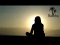 Download Lagu Remedeus - Lights (Inspired By Alan Walker)