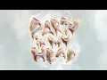 Download Lagu PLS\u0026TY - Party In My Head (ft. Lost Boy) [Official Audio]