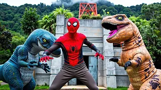 الليلة الأولى ليالي الامتحان الأخيرة ثالثة ثانوي ٢٠٢٥ مع أ محمد صلاح 