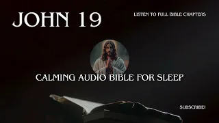 John 19 - Book of John Bible from New International Version NIV