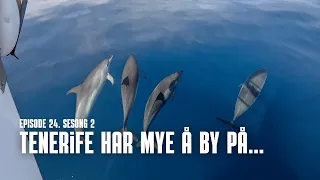 Tenerife har mye å by på… Episode 24 sesong 2 [35]