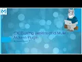 MuleSoft CICD - Automate build and deployment of mule application with Jenkins and Mule Maven Plugin