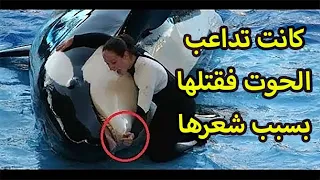 حوت الاوركا الذي التهم مدربه غريزة الإفتراس تحكم وقت الغضب 