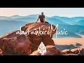 Wilderado - Surefire