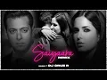 Lagu Saiyaara Remix | DJ Cruz R | Ek Tha Tiger | Salman Khan, Katrina Kaif | 2025