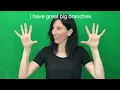 Recite the poem I Am A Tree with Nancy FULL POEM w ACTIONS