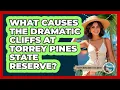 What Causes The Dramatic Cliffs At Torrey Pines State Reserve - Everything About San Diego