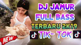 dj jamur full bass remix terbaru 2k19